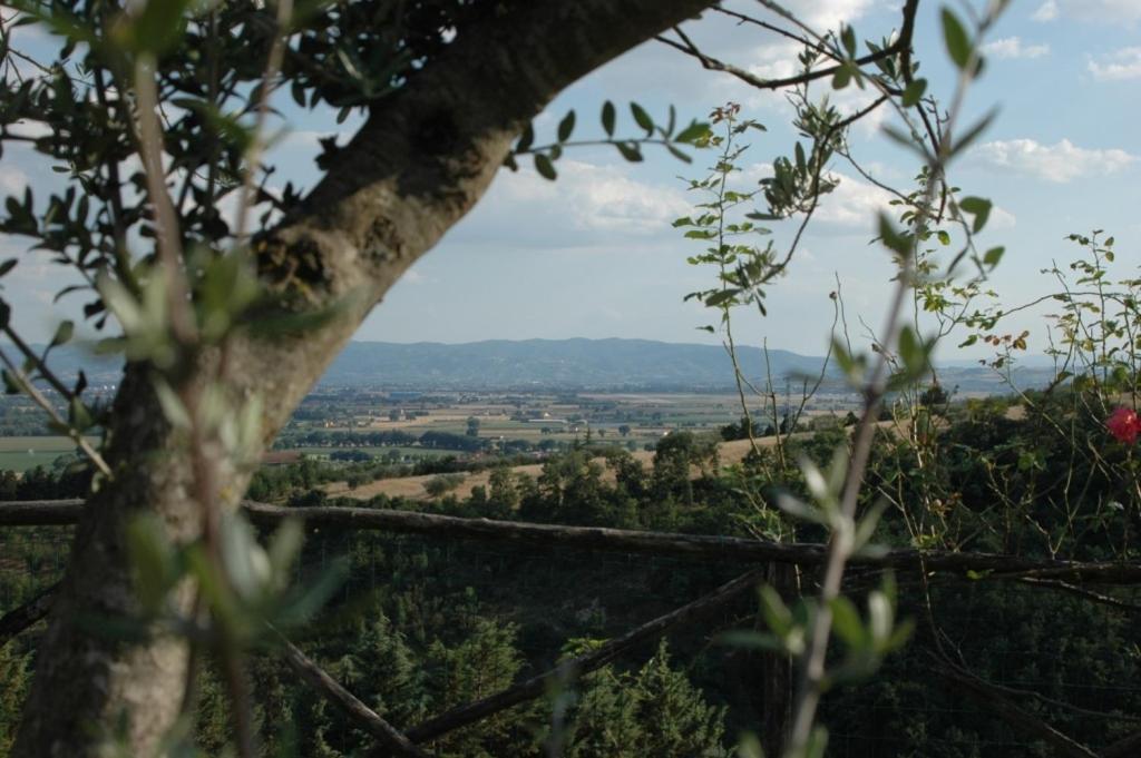منزل الضيف بيرودجا  في Castel D'Arno المظهر الخارجي الصورة